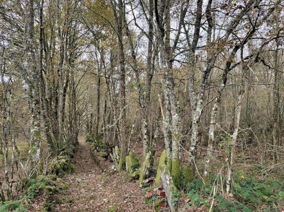 Casa Carmina: Casa Para Pequenos Grupos En El Corazon De Galicia O Irixo Zewnętrze zdjęcie