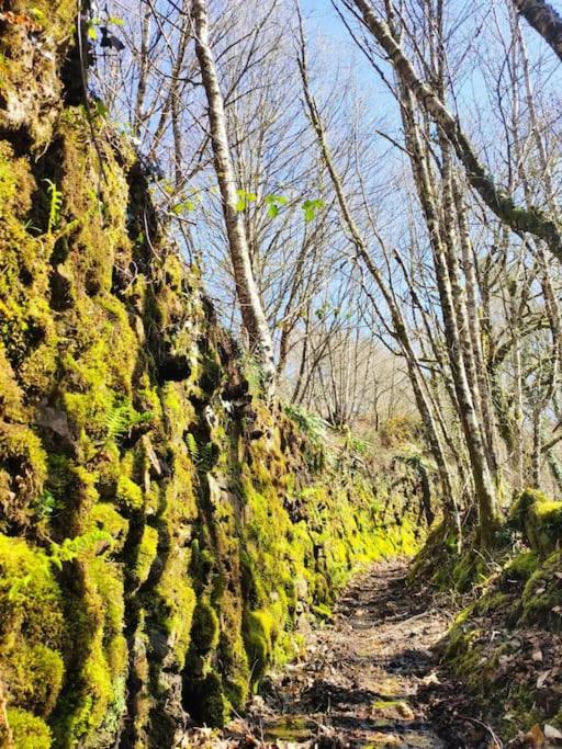 Casa Carmina: Casa Para Pequenos Grupos En El Corazon De Galicia O Irixo Zewnętrze zdjęcie